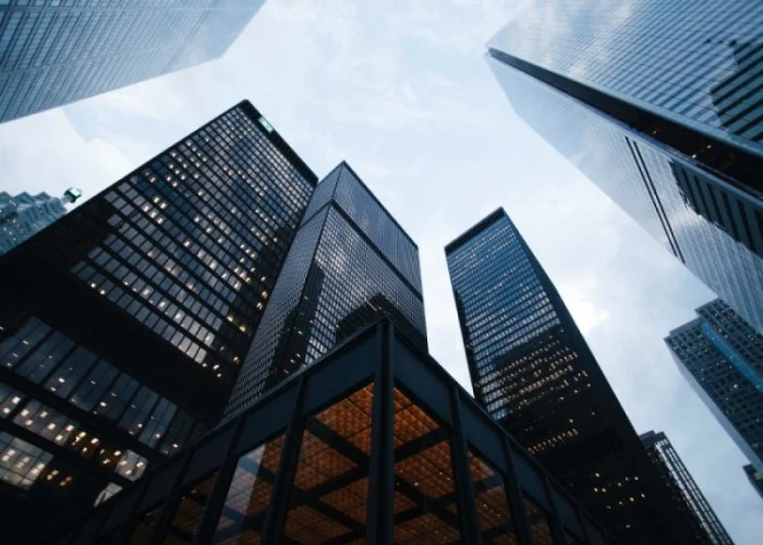 Corporate Sector